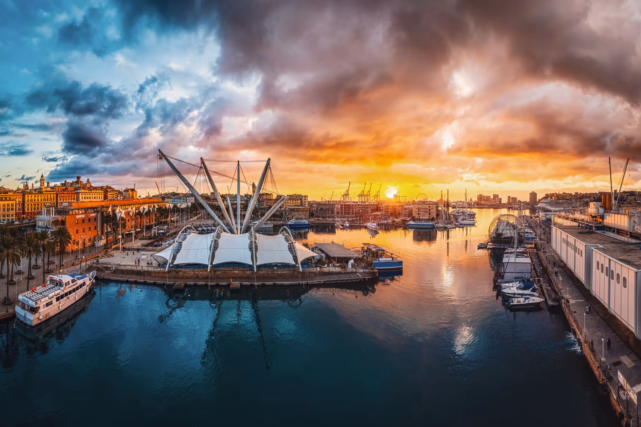 Fotografia e video aerei con drone a Genova — foto 8
