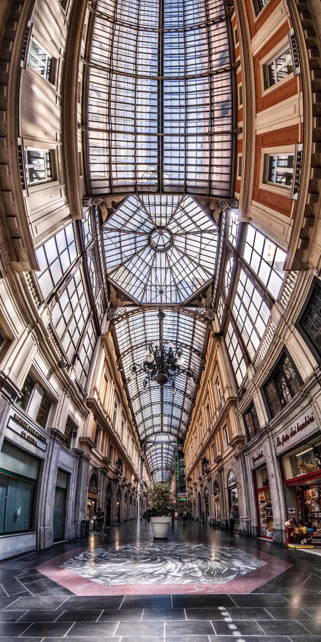 La serie completa. — immagine 7
