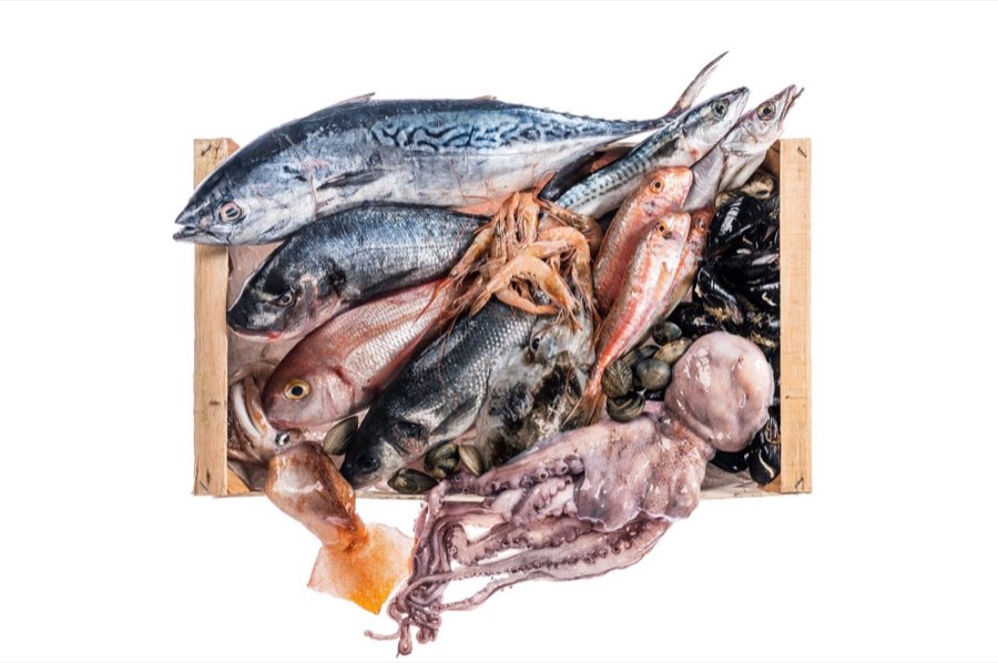 Cassetta con pesci, gamberi, cozze e polpo fresco
